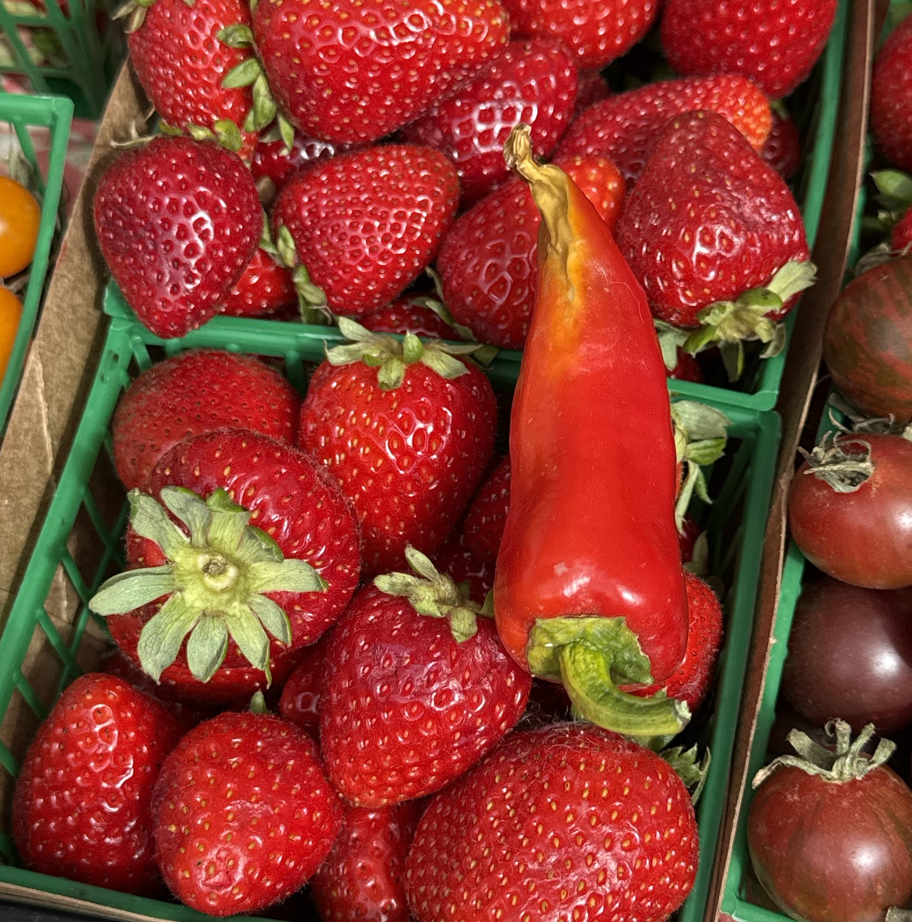 Red chili pepper sitting in a green basket filled with ripe strawberries