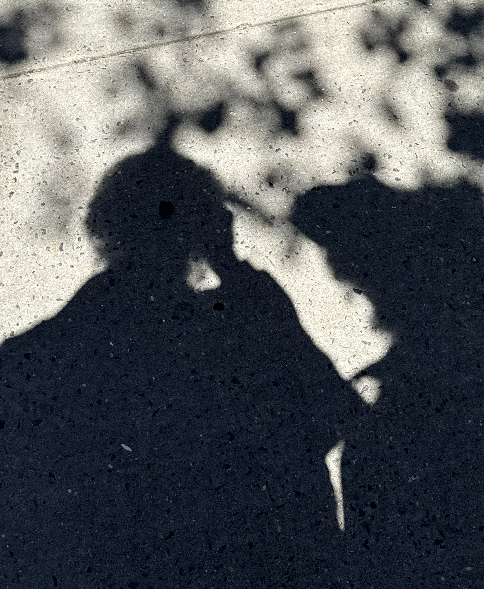 Silhouette of a person on sunlit sidewalk with dappled leaf shadows