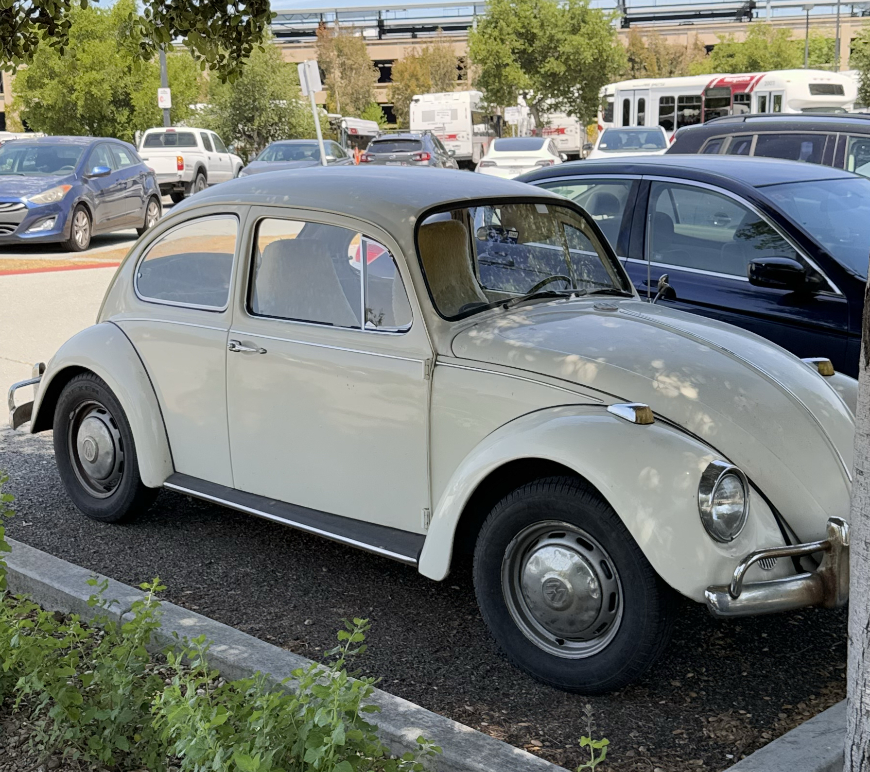 Cream-colored classic VW Beetle parked under partial shade
